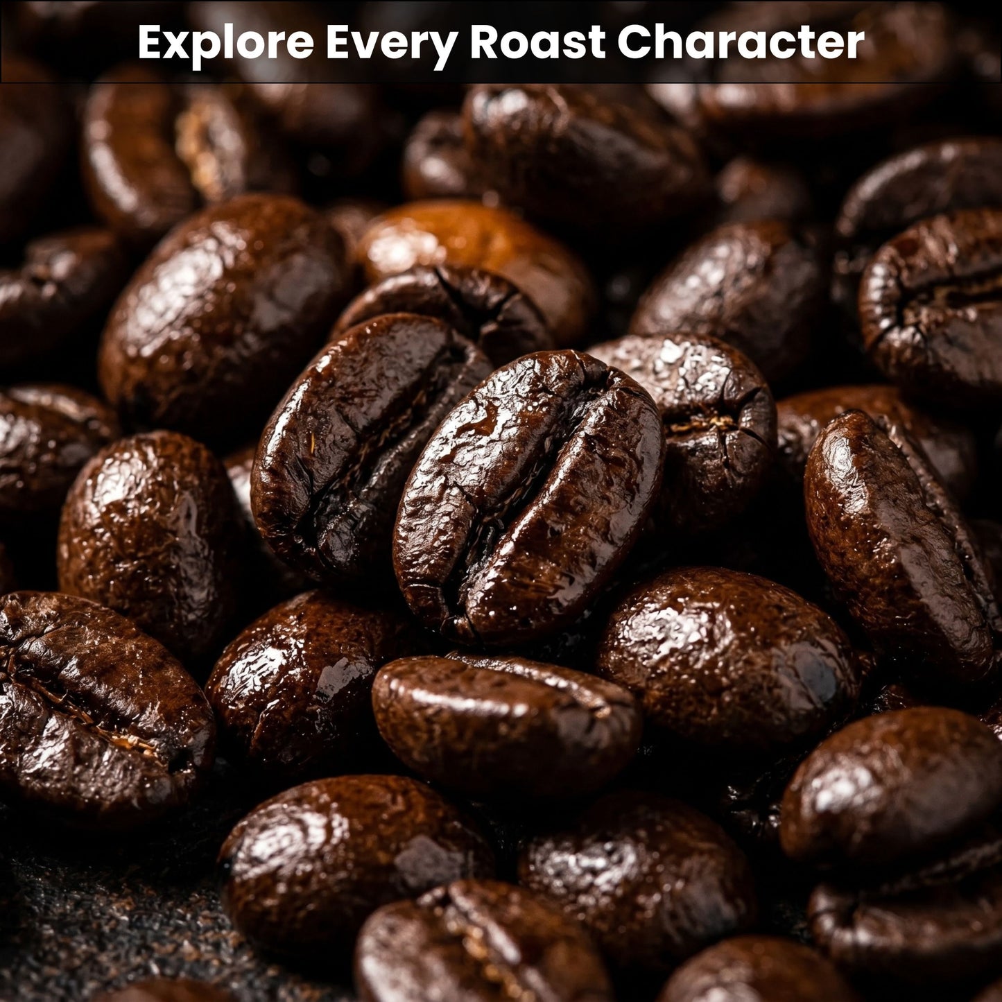 Single Origin Coffee Sampler Pack | Fresh Roasted 6-Pack | Brazil Colombia Ethiopia Tanzania Costa Rica Honduras | 2oz Sample Bags | Specialty Coffee Gift Set