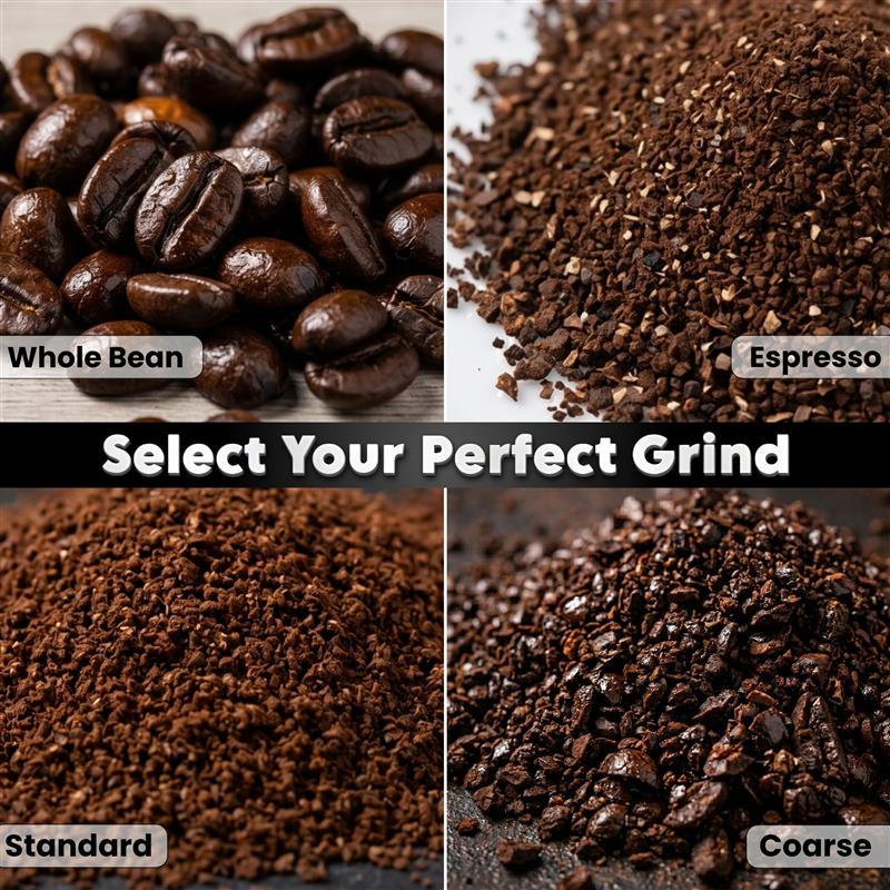 Mexico Medium Roast Coffee Beans | Fresh Roasted Single Origin | Chiapas & Oaxaca | Chocolate, Cinnamon & Green Apple — Brewed Battles Coffee